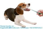 Dual Purpose Pet Pill Feeder Gun Pet Dog Cat Pill Gun Capsule Medication Syringe
