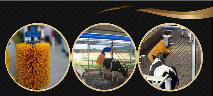 Poultry Breeding Equipment Cow Massage Brush Rotating Cow Shaving Brush