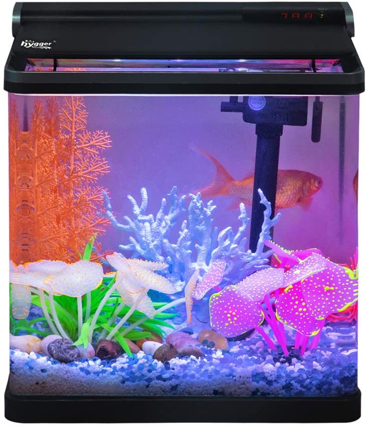 4 Gallon Turtle Fish Tank