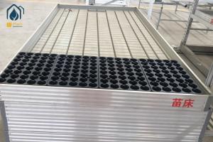 Wholesale Commercial Ebb And Flow Rolling Benches Hydroponics Greenhouse Growing Trays from china suppliers