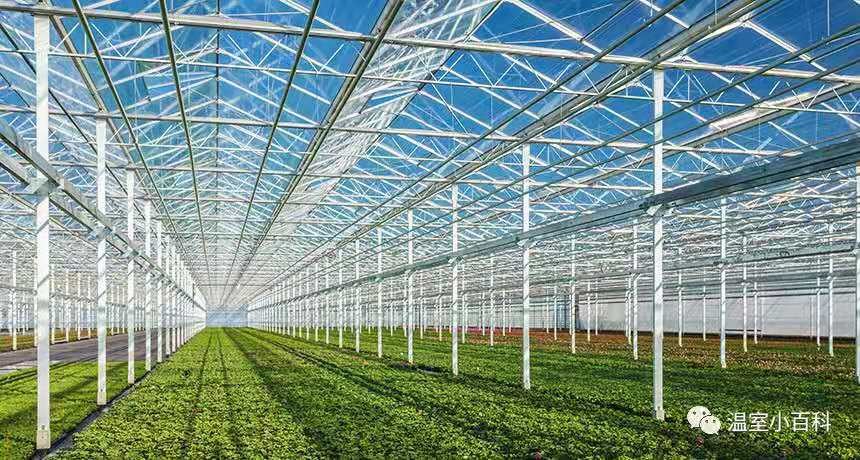 Tempered Pattern 3.2mm 4mm Greenhouse Roof Cover Glass for Vagetable Greenhouse