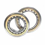 Single Row 105*190*36mm NU/NJ/NF221EM Cylindrical Roller Bearing for Mining