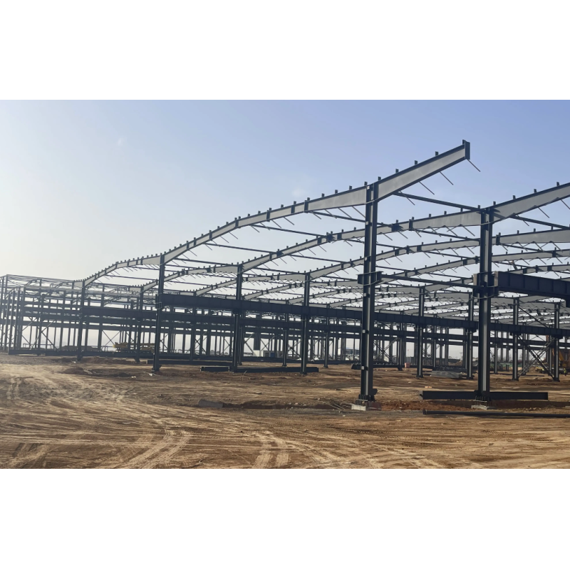 Fast Construction Light Steel Structure Pigsties Typhoon Resistant Chicken Houses Pig Houses