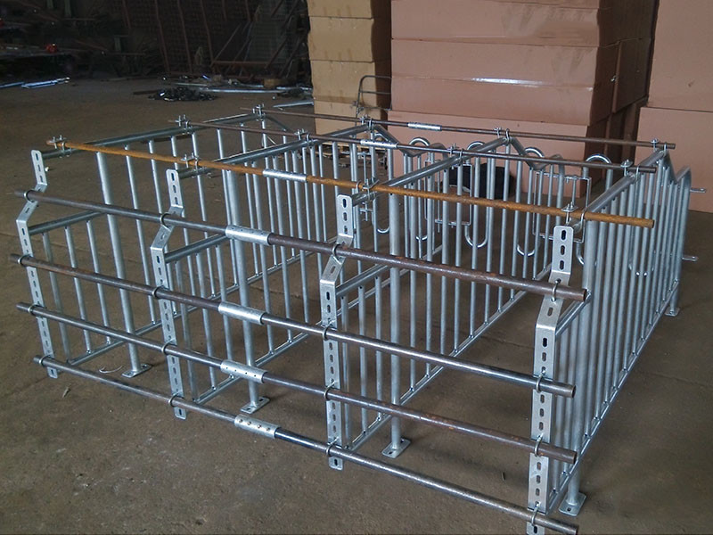 Durable Steel Iron Hog Gestation Stalls , Gestating Pen For Livestock