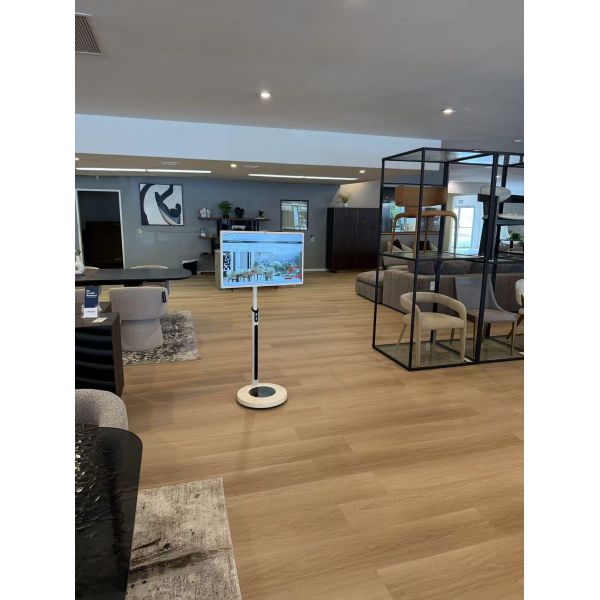 32 inch iBoard Interactive whiteboard Smart TV touch screen Portable display