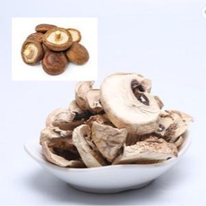 Wholesale 10x10mm Brown Japanese Dry Shiitake Mushroom Cultivation Bag Bulk from china suppliers