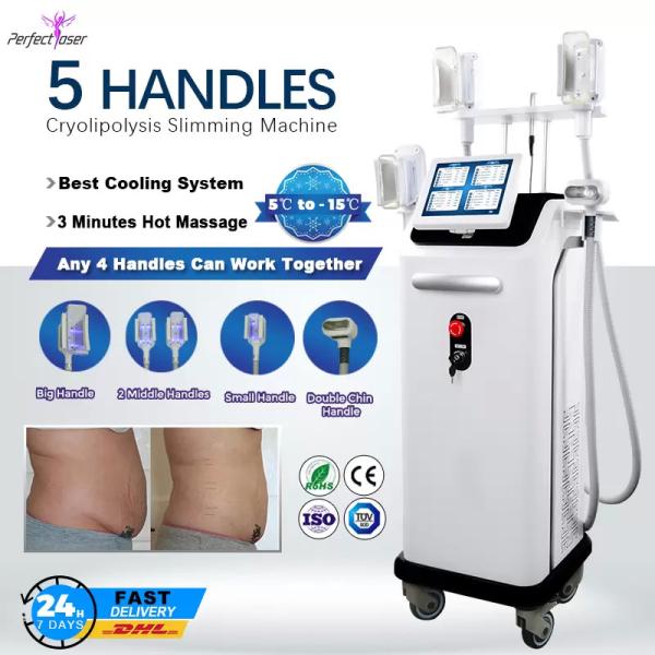 Professional Fat Freezing Cryolipolysis Machine Slimming Weight Loss Fat