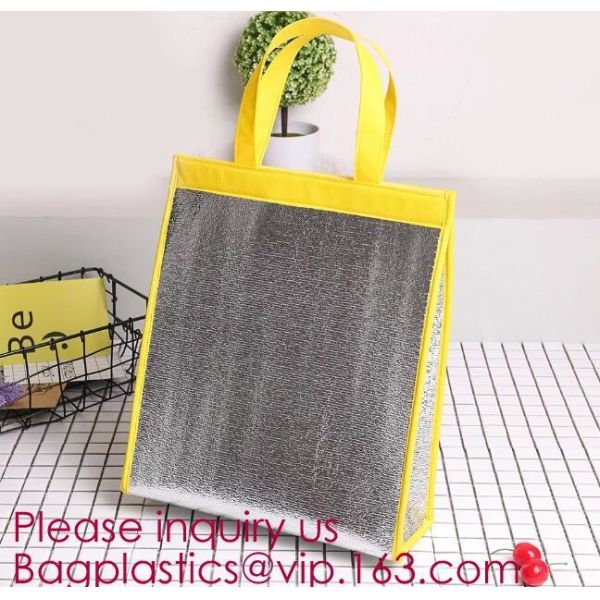 Outdoor square aluminum foil food thermal freezer cooler lunch insulation bag,Foil Cooler Bag Thermal Bag for Fruit Choc