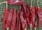 Seasoning Dried Guajillo Chili Peppers Pungent Flavor A Grade