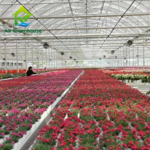 Wholesale Hot Dip Galvanized Steel Plastic Film Greenhouse 3-8m Gutter Four Seasons Greenhouse from china suppliers