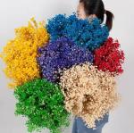 100g Dried Flower Artificial Bouquet Baby Breath Gypsophila Flower Wedding Decor