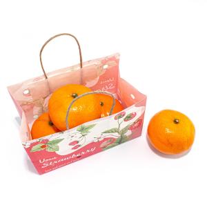 Wholesale Paper Twist Rope Handle Fruit Brown Paper Bag Eco Friendly Water Based Soy Ink Printed from china suppliers
