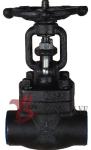 Metellic Seat Forged Steel Valves , Forged Carbon Steel Gate Valve