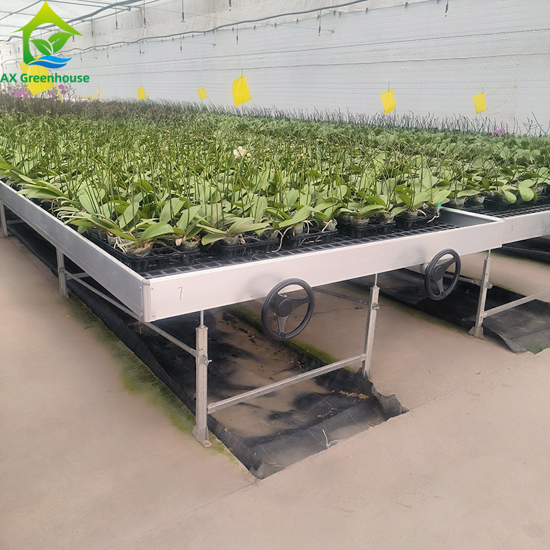 Agricultural Soilless Culture Hydroponic Greenhouse Rolling Bench Grow Table Innovative Mesh