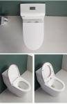 Siphonic S Trap 300mm Sanitary Ware Toilet Modern Comfort Height