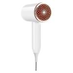 Professional Hair Dryer Powerful 2300W With Blue Light Ion Overheating