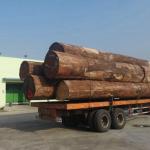 Engineered Teak Wood Veneer Sheet Faced Fancy Panel Crown Grain 0.55mm Thickness