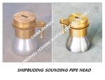 37AS-65A Sounding Injection Head For Marine Sewage Treatment Tank Sounding Pipe
