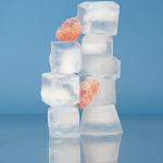 500kg 1000Lbs Cube Ice Maker Machines for Manufacturing Plant in High Reliabilit