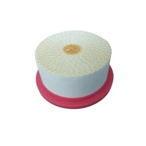 Wholesale 6.4432.0 140mm Diameter Kaeser Air Filter Hv Material from china suppliers
