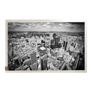 Wholesale WXGA TFT Small Size Medical LCD Panel Industrial Grade EV101WXM-N80 from china suppliers
