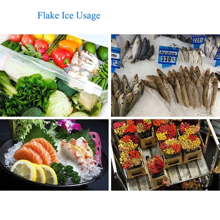 Focusun 5T Flake Ice Machine The Perfect Solution for 1250 KG Ice Production