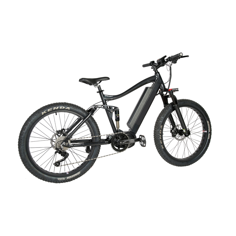 High Speed and Short Charging Time 2024 Customized Mid Drive Electric Mountain Bike