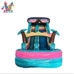 Commercial PVC Colorful Theme Inflatable Water Slides Outdoor
