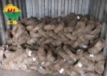 BWG 16 18 20 22 Black Annealed Binding Wire Construction Softness
