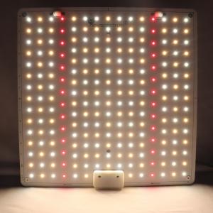 Wholesale 150W 65 Watt Plant Light Growth Phyto Lamp For Greenhouse Plants from china suppliers
