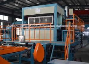Wholesale Pulp Molding Egg Tray Machine in China with Factory Price, Pulp molding Production Line from china suppliers