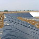 ASTM GM13 Standard HDPE Geomembrane Liner 0.3mm 0.5mm 0.75mm 1mm for Country