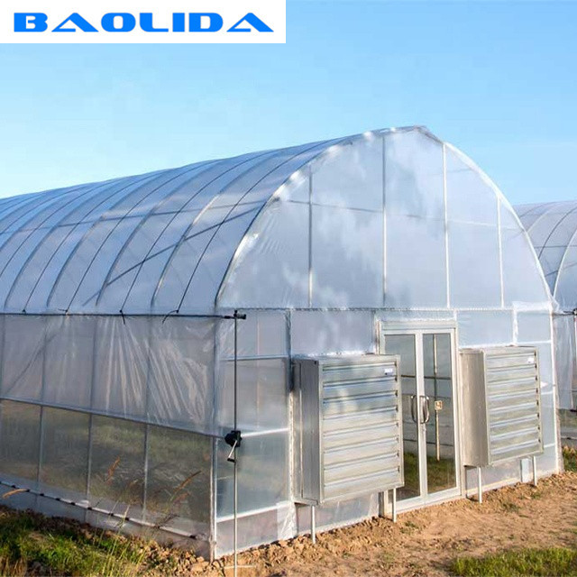 Big Size Plastic Poly Tech Greenhouse / Agricultural Single Span Greenhouse