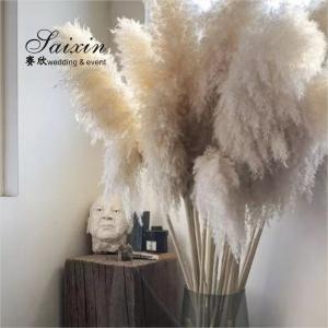 China White Beige Pampasgras Event Decor Wedding Artificial Flowers For Tables Decoration on sale