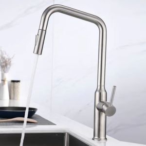 Pull Out Extendable Hose High Arc Kitchen Faucet Eco Friendly