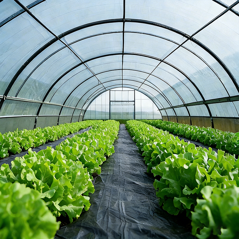 Prefabricated Agricultural Steel Frame Building For Crop Storage Facilities