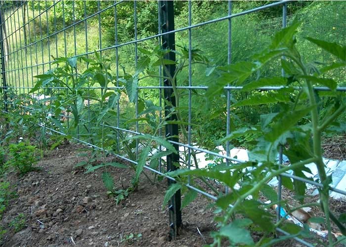 American Farm 6 Ft Studded Fence Post 0.83lb Per Foot