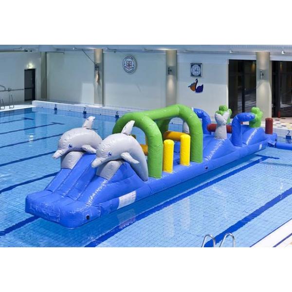 Colorful Double Dolphin 12m Aqua Run Inflatables , Blow Up Water Islands For