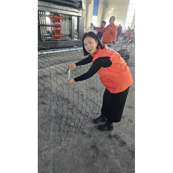 High-Performance Zn95% Al5% Galfan Coated 6*2*0.3m Gabion Mattress For Slope Stabilization