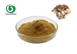 Wholesale 100 Mesh 20/1 Maitake Grifola Frondosa Extract from china suppliers