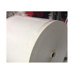 Polyester Filament Non Woven Geotextile For Traditional Design Style