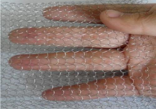 Corrugated / Crimped Stainless Steel Screen Wire Mesh With 0.20-0.28 Mm Wire