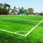 40-60mm Football Synthetic Grass Artificial Grass For Outdoor Football Field