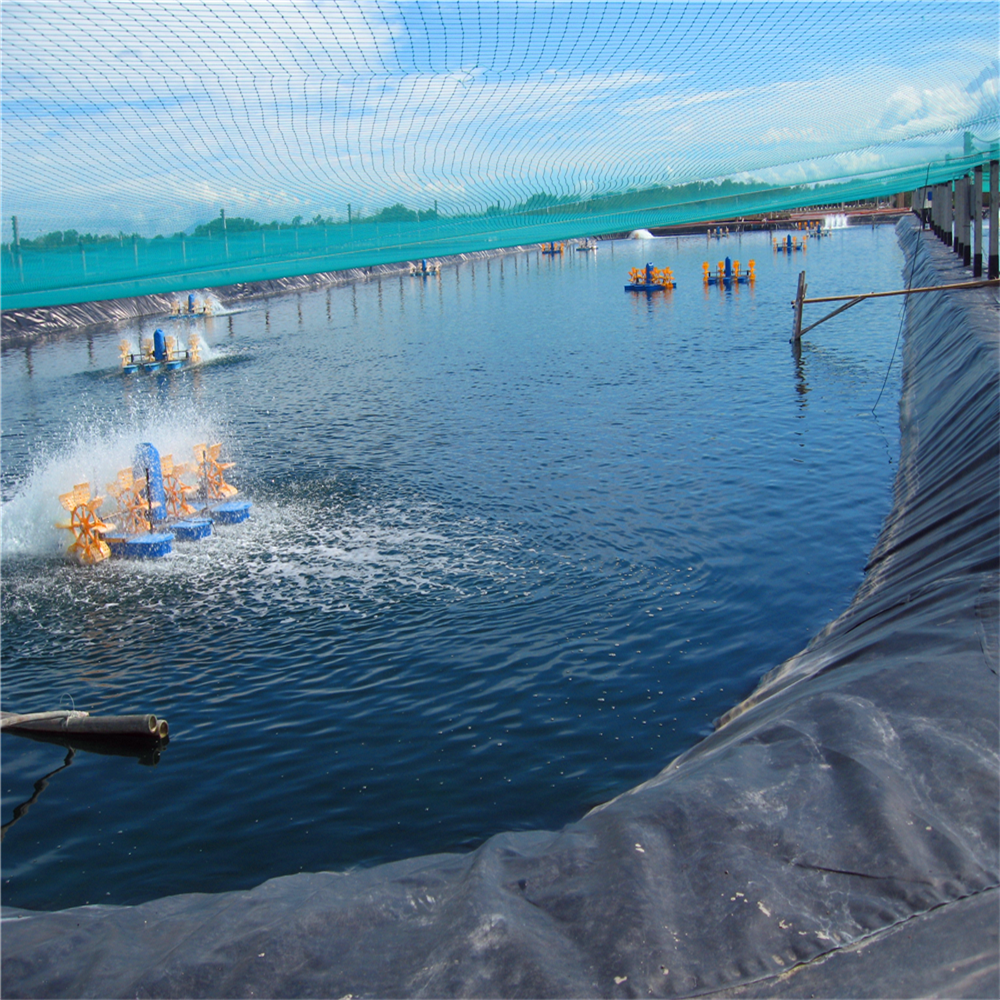 Pond Liner for Aquaculture 0.5mm/0.75mm HDPE Geomembranes in Black White Green or Blue