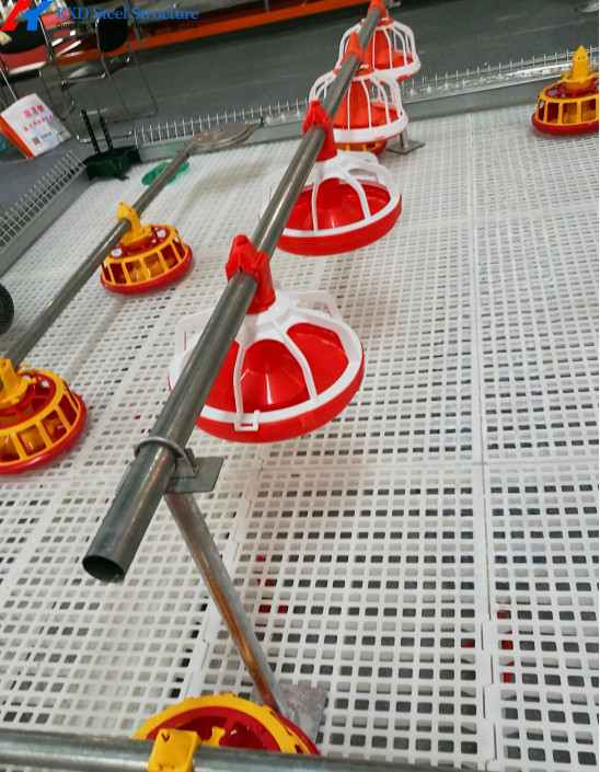 Steel Automatic H Type Battery Cage For Chicken / Bird Poultry Farming