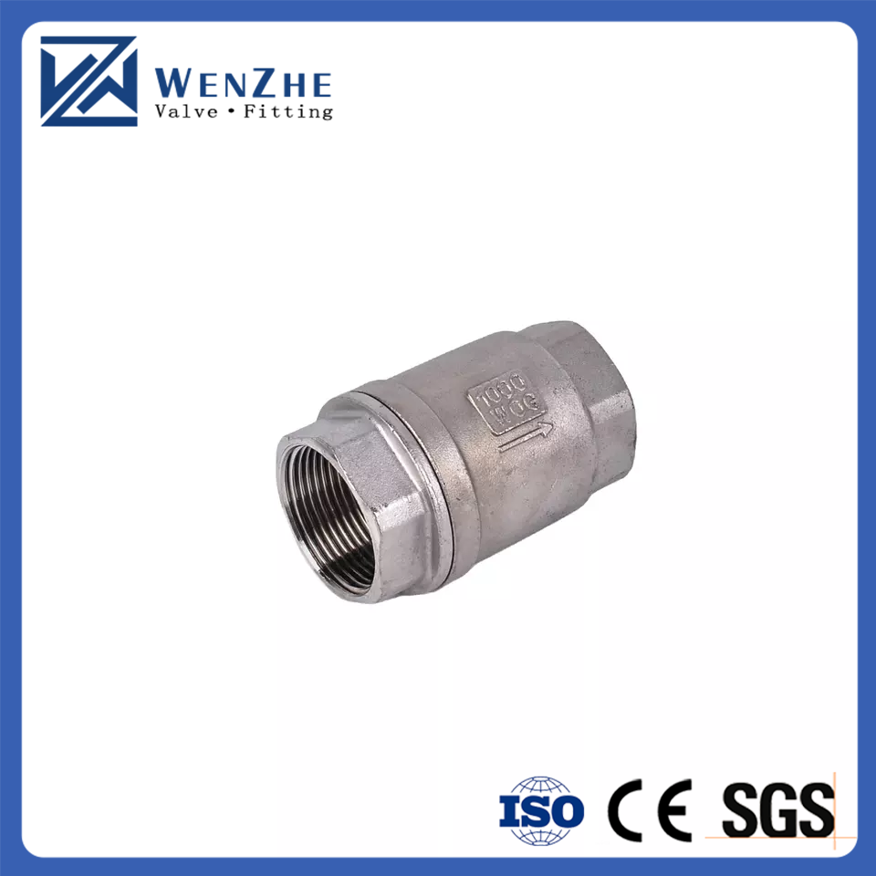 One Way Non Return H12 Check Valve for Water Media RTS Stainless Steel 201 304 NPT BSP