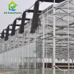 12m Width Agricultural Glass Greenhouse Residential Hydroponic Strawberry