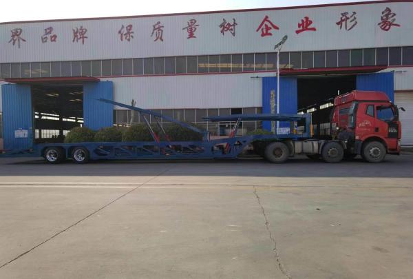 2 Axles 3axles Double Deck Auto Transport Trailers Car Carrying Truck Cargo Semi