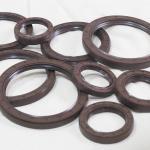 0.05MPa Pressure Nbr Neoprene Fkm Silicone Hnbr Epdm Sc Tc Oil Seal for Shock