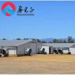 Prefabricated Livestock Farm House H Section Steel PVC Insulation